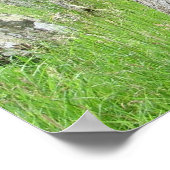 Glendalough, Ierse begraafplaats Poster (Hoek)