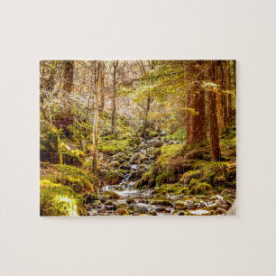 Glendalough Wicklow Ierland Legpuzzel