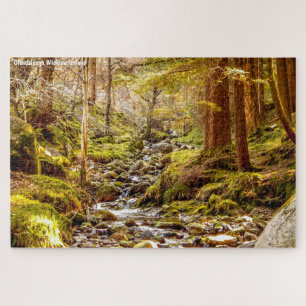 Glendalough Wicklow Ierland Legpuzzel