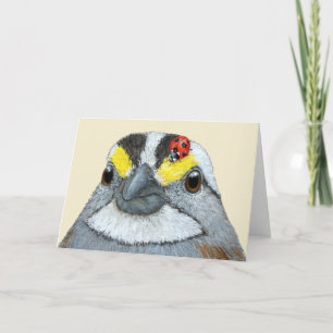 Glenn la carte du moineau