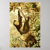  gleuzen en papegaai in Oerwoud Poster (Voorkant)