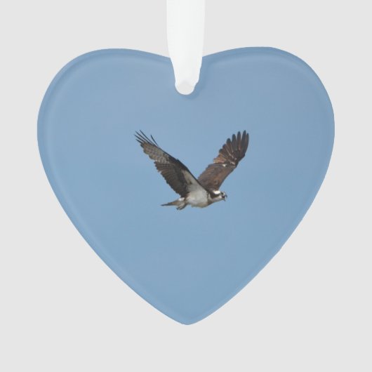 Gliding Osprey Ornament (voorkant)