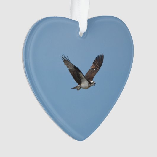 Gliding Osprey Ornament (voorkant)