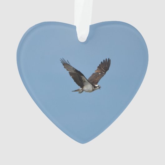 Gliding Osprey Ornament (achterkant)