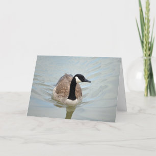 Glijdende Gans Kaart
