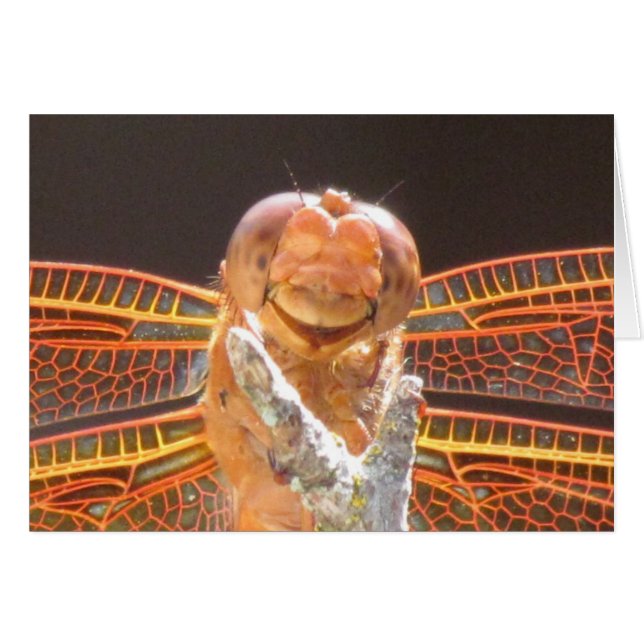 glimlach (Voorkant Horizontaal)