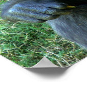 glimlach Ape Poster (Hoek)