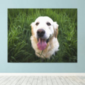 Glimlach Golden Retriever Canvas Afdruk (Insitu (Houten vloer))