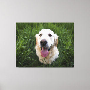 Glimlach Golden Retriever Canvas Afdruk