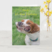 Glimlach, het is je verjaardag kaart (Gele Bloem)