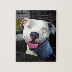 Glimlach Legpuzzel