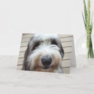 Glimlach Old English Sheepdog Kaart
