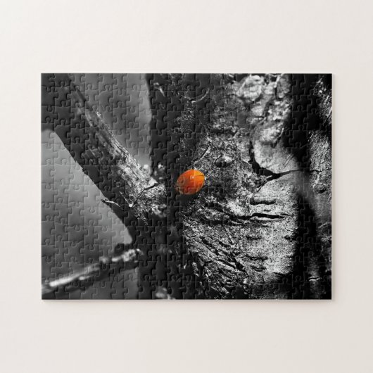 glimlach op een ladybug legpuzzel (Horizontaal)