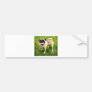 glimlach op je gezicht bumpersticker