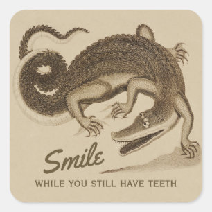 Glimlach terwijl u nog tandenCC0890 Krokodil hebt Vierkante Sticker