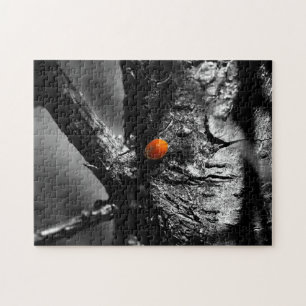 glimlach voor een lieveheersbeestje legpuzzel
