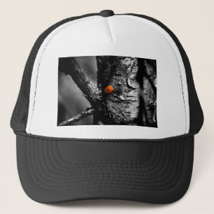 glimlach voor een lieveheersbeestje trucker pet