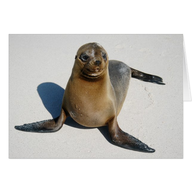 glimlachen (Voorkant Horizontaal)