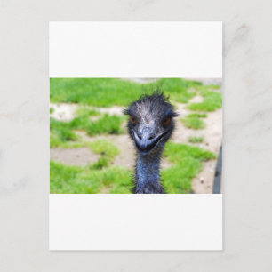 glimlachen briefkaart