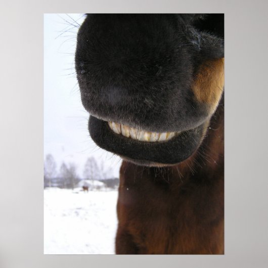 glimlachen poster (Voorkant)