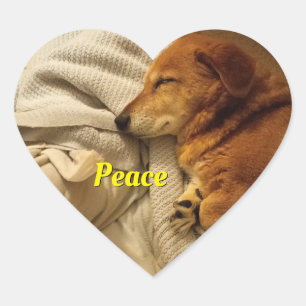 glimlachen van Dog Heart Sticker