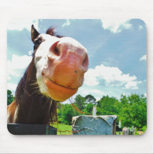 Glimlachend Paard Muismat