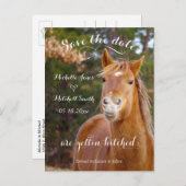 Glimlachend Paard Save the Date Briefkaarten (Voorkant / Achterkant)