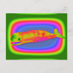 glimlachend psychedelisch walvisachtig briefkaart