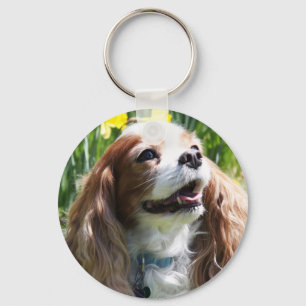 Glimlachende Blenheim Cavalier King Charles Spanie Sleutelhanger