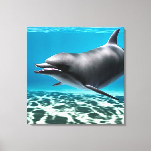 Glimlachende dolfijn canvas afdruk (Voorkant)