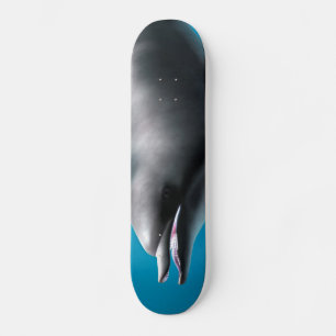 Glimlachende Dolfijn Skateboard