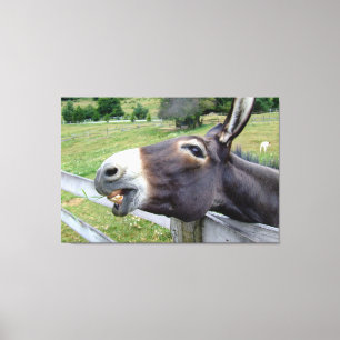 Glimlachende Ezel Dier Fotografie Wand Kunst Canvas Afdruk