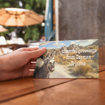 Glimlachende ezel, Oatman Arizona