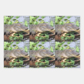 Glimlachende Gator Wrapping Papier Bladen Inpakpapier Vel (Voorkant)