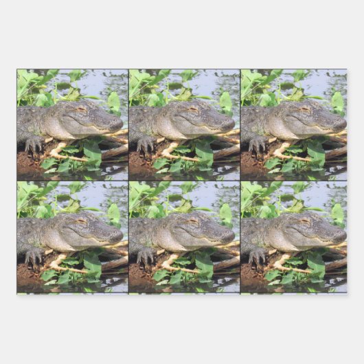 Glimlachende Gator Wrapping Papier Bladen Inpakpapier Vel (Voorkant 3)