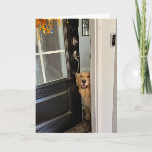 Glimlachende Golden Retriever Hond Peking Out Door Kaart