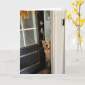 Glimlachende Golden Retriever Hond Peking Out Door Kaart (Gele Bloem)