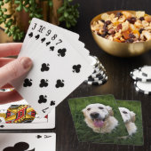 Glimlachende Goudhaarderehond Pokerkaarten (Insitu)