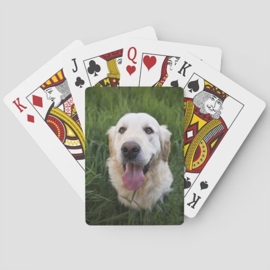 Glimlachende Goudhaarderehond Pokerkaarten (Achterkant)