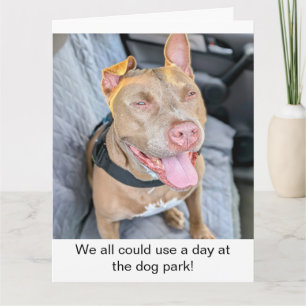 Glimlachende Pit Bull, neem het ervan Kaart