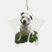 glimlachende Pittie Keramisch Ornament (Rechts)