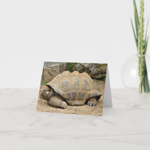 Glimlachende Schildpad Bedankkaart