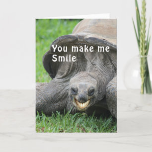 Glimlachende schildpad Denken aan je kaart