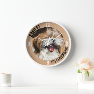 Glimlachende Shih Tzu lach het is besmettelijk aan