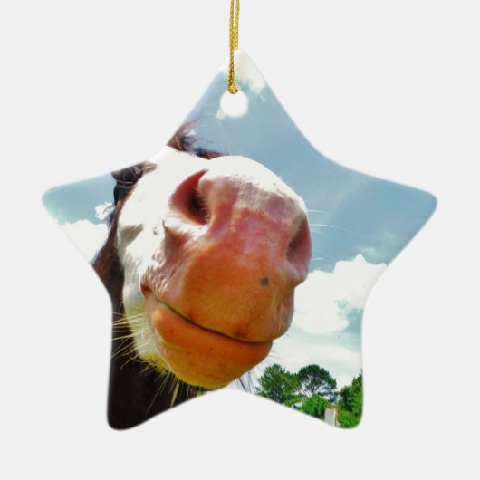 glimlachte paarden keramisch ornament (Voorkant)