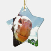 glimlachte paarden keramisch ornament (Links)