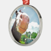glimlachte paarden metalen ornament (Links)