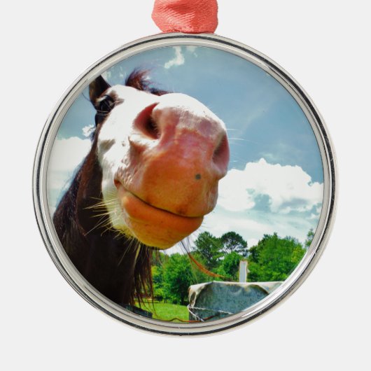 glimlachte paarden metalen ornament (Voorkant)