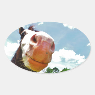 glimlachte paarden ovale sticker