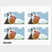 glimlachte paarden rechthoekige sticker (Vel)